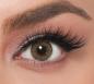 Preview: LA’BELLA Real 'Caramel' braune farbige Kontaktlinsen für 3 Monate / 1x Paar / 2 Stk. Linsen