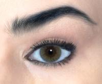 FAMECOLORS 'Fame Brown' 10x Tageslinsen / 5xPaar