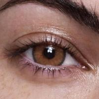 Anesthesia Addict 'Crema' 2x Linsen / 1x Paar