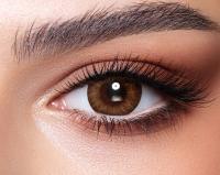 Bella One Day 'Almond Brown' 10x daily lenses 5x pairs