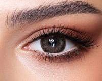 Bella One Day 'Ash Brown' 10x daily lenses 5x pairs