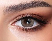 Bella One Day 'Rosewood' 10x daily lenses 5x pairs