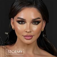 DYE dress your eyes 'Stormy' Braun Monatslinsen 2x Linsen / 1x Paar