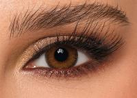 DYE dress your eyes 'Stormy' brown monthly 2x lenses / 1x pair