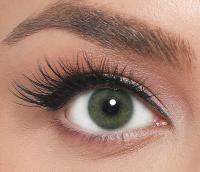 EL‘AMORE Amore 'Green' grüne farbige Kontaktlinse für 6 Monate 1x Paar / 2 Stk Linsen