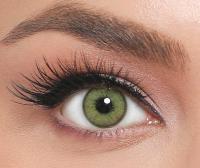 EL‘AMORE Retro 'Cove Green' grüne farbige Kontaktlinse für 6 Monate 1x Paar / 2 Stk Linsen