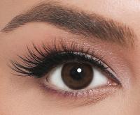 EL‘AMORE Retro 'Dark Coffee' coloured contact lenses for 6 Months / 1x Pair / 2 Pcs Lenses