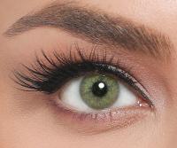 EL‘AMORE Amore 'Emerald' grüne farbige Kontaktlinse für 6 Monate 1x Paar / 2 Stk Linsen