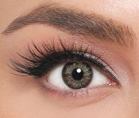 EL‘AMORE Retro 'Foresta' grüne farbige Kontaktlinse für 6 Monate 1x Paar / 2 Stk Linsen