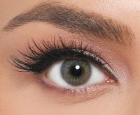 EL‘AMORE Amore 'Sepia' coloured contact lenses for 6 Months / 1x Pair / 2 Pcs Lenses