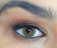 FAMECOLORS 'Fame Hazel' 10x daily lenses / 5xPairs