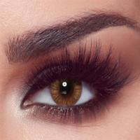 Bella One Day 'Hazel Honey' 10x daily lenses 5x pairs