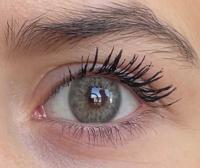 ICONIC 'Angel Green' grün farbige Kontaktlinse für 3 Monate / 1x Paar/ 2 Stk. Linsen