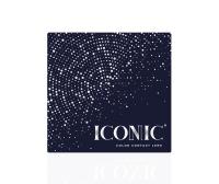 ICONIC 'Snow' gray coloured contact lenses for 3 Months / 1x Pair/ 2 Pcs