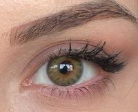 ICONIC 'Fresh Green' grün farbige Kontaktlinse für 1 Monat / 1x Paar/ 2 Stk. Linsen