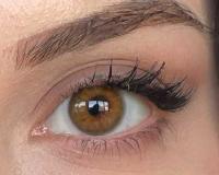 ICONIC 'Pure Hazel' braun hazel farbige Kontaktlinse für 1 Monat / 1x Paar/ 2 Stk. Linsen