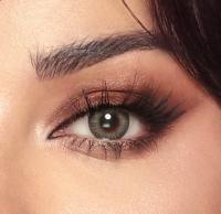 Bella One Day 'Platinum Gray' 10x daily lenses 5x pairs